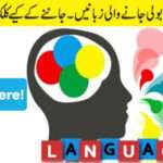 Languages in UK language-in-ukk