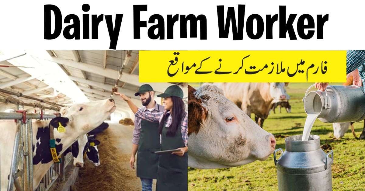 Dairy form jobs in Canada